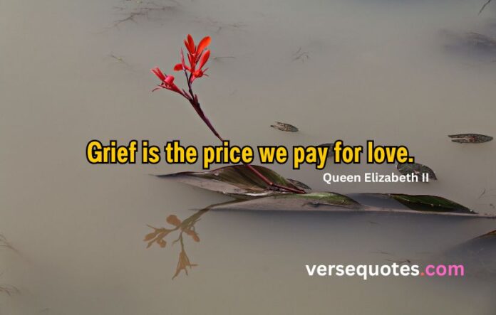 Inspirational Grief Quotes