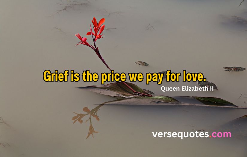 Inspirational Grief Quotes