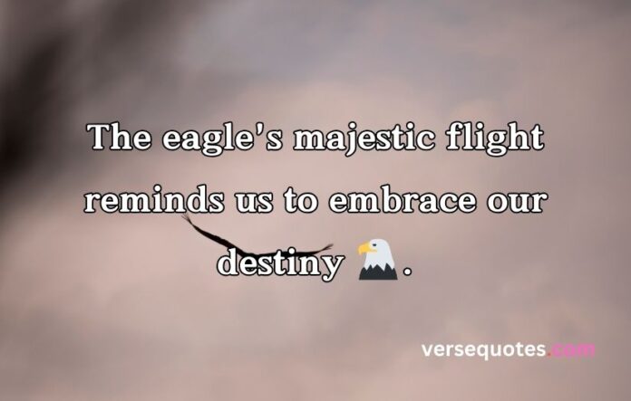 Epic Eagle Quotes to Uplift Your Spirit