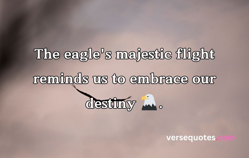 Epic Eagle Quotes to Uplift Your Spirit