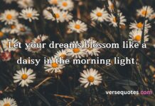 Daisy Captions and Quotes Daisy Captions and Quotes