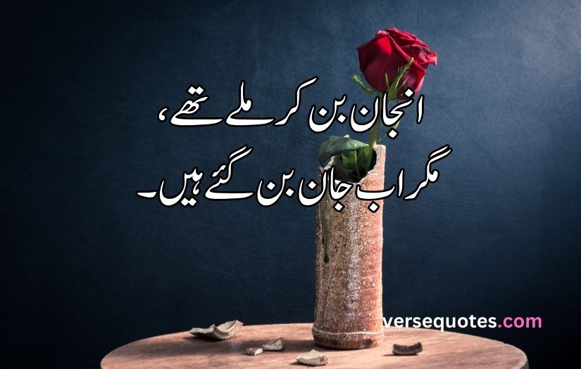 Best Love poetry in Urdu