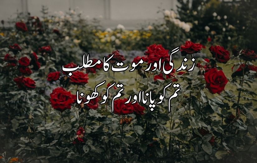 Urdu poetry in 2 lines