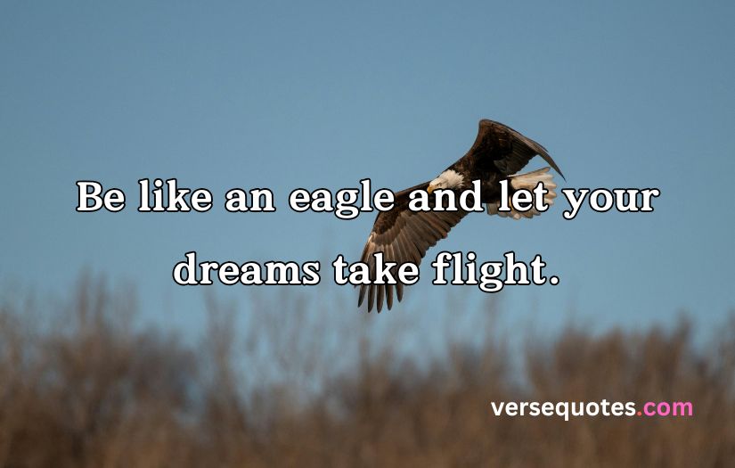 Epic Eagle Quotes to Uplift Your Spirit