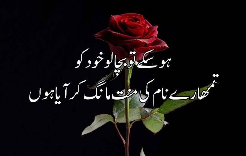 Urdu poetry in 2 lines