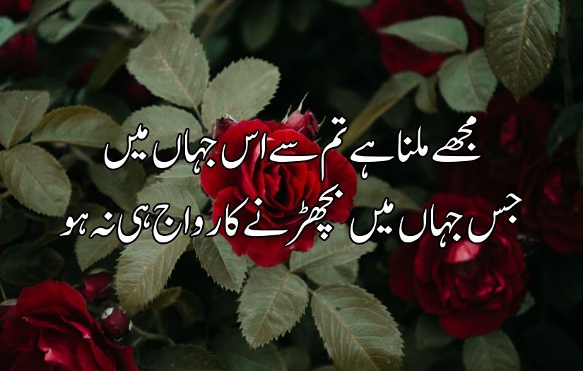 Urdu poetry in 2 lines