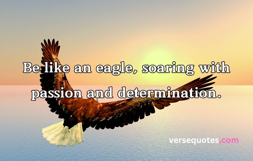 Epic Eagle Quotes to Uplift Your Spirit