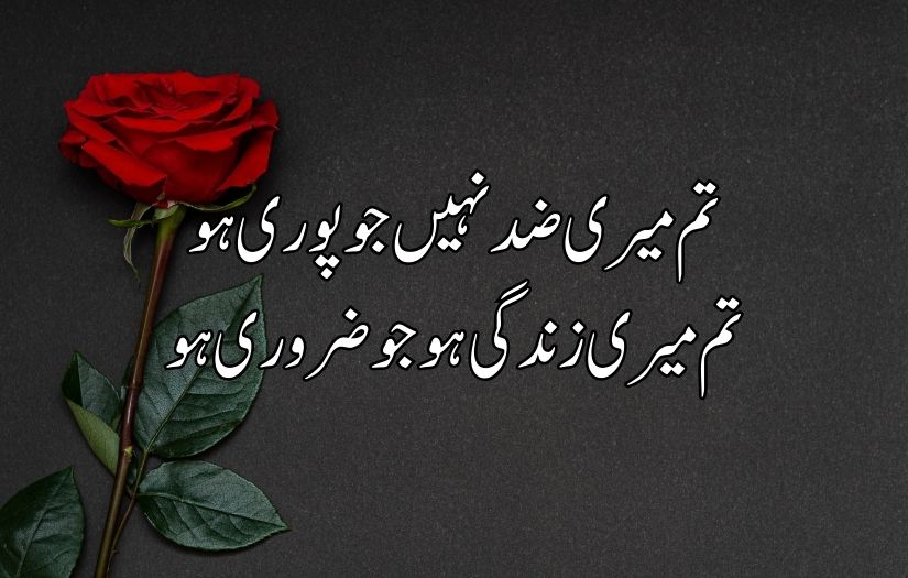 Urdu poetry in 2 lines