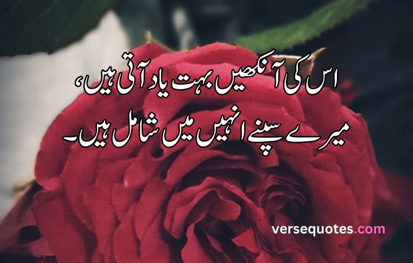 Best Love poetry in Urdu