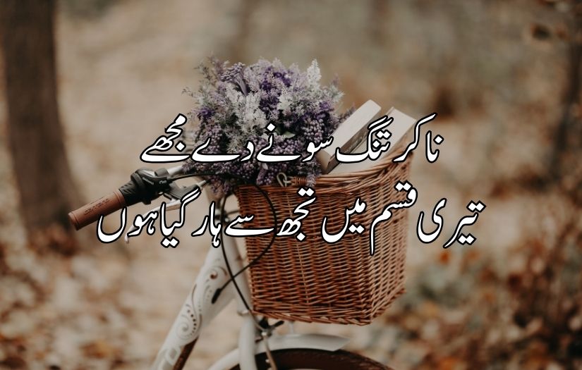 Urdu poetry in 2 lines