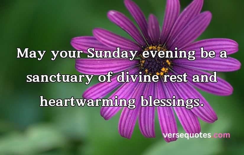 Sweet Good Morning Sunday Blessings Images And Quotes