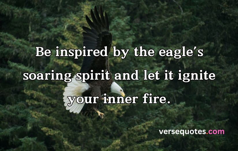 Epic Eagle Quotes to Uplift Your Spirit