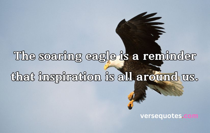 Epic Eagle Quotes to Uplift Your Spirit