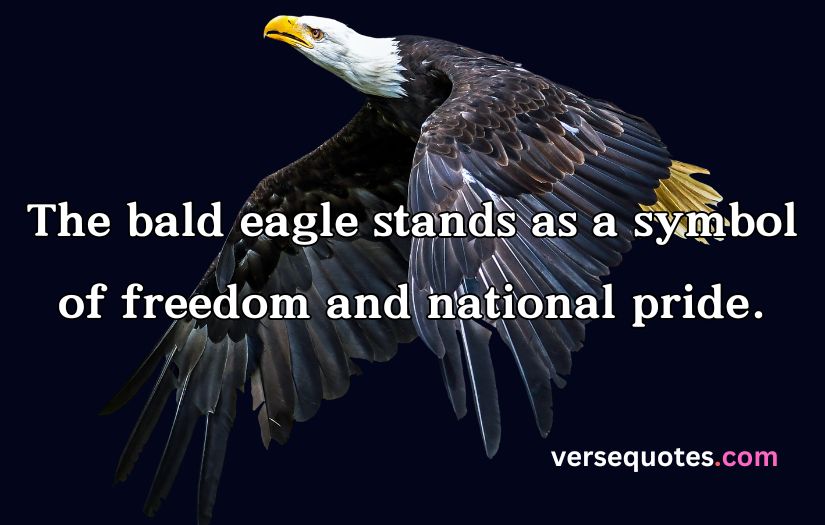 Epic Eagle Quotes to Uplift Your Spirit