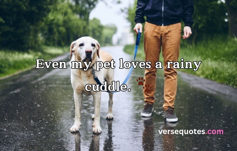 BEST Rain Captions for Instagram