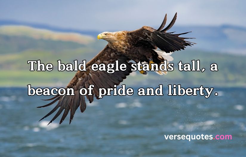 Epic Eagle Quotes to Uplift Your Spirit