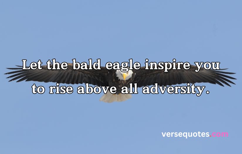 Epic Eagle Quotes to Uplift Your Spirit