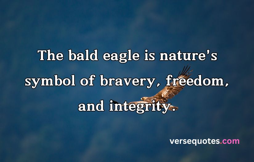 Epic Eagle Quotes to Uplift Your Spirit