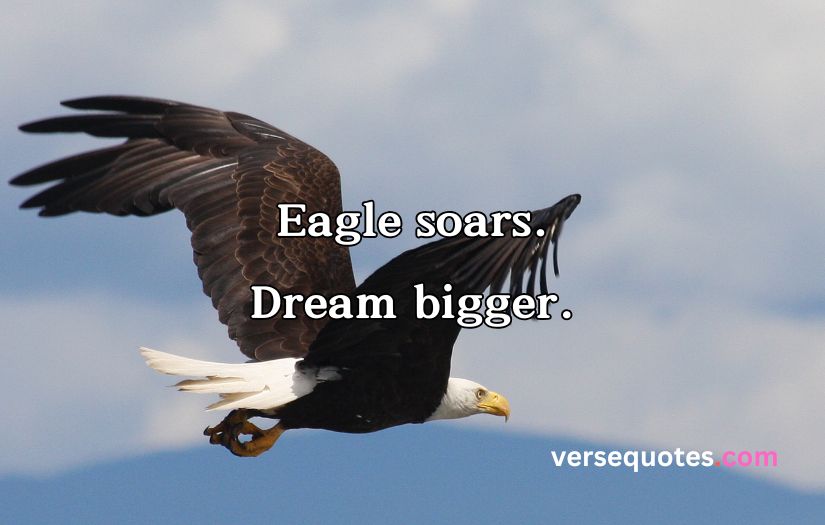 Epic Eagle Quotes to Uplift Your Spirit