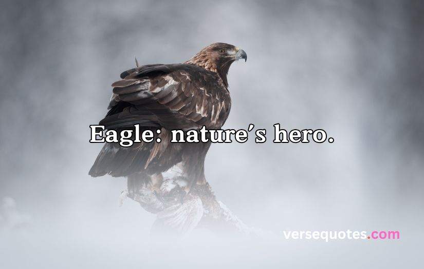 Epic Eagle Quotes to Uplift Your Spirit