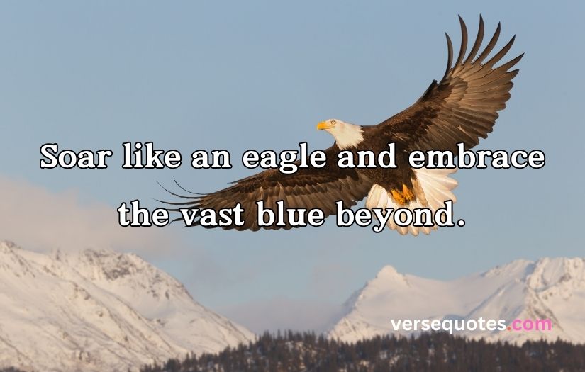 Epic Eagle Quotes to Uplift Your Spirit