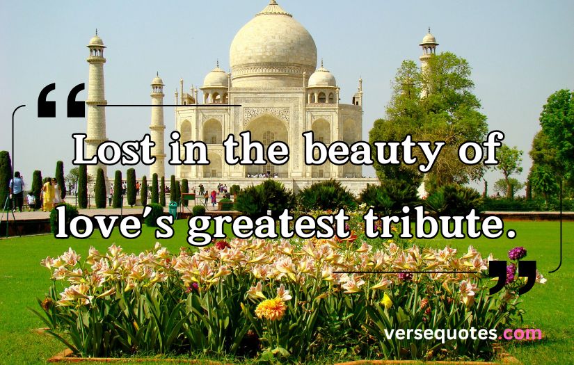 Taj Mahal Captions and Quotes