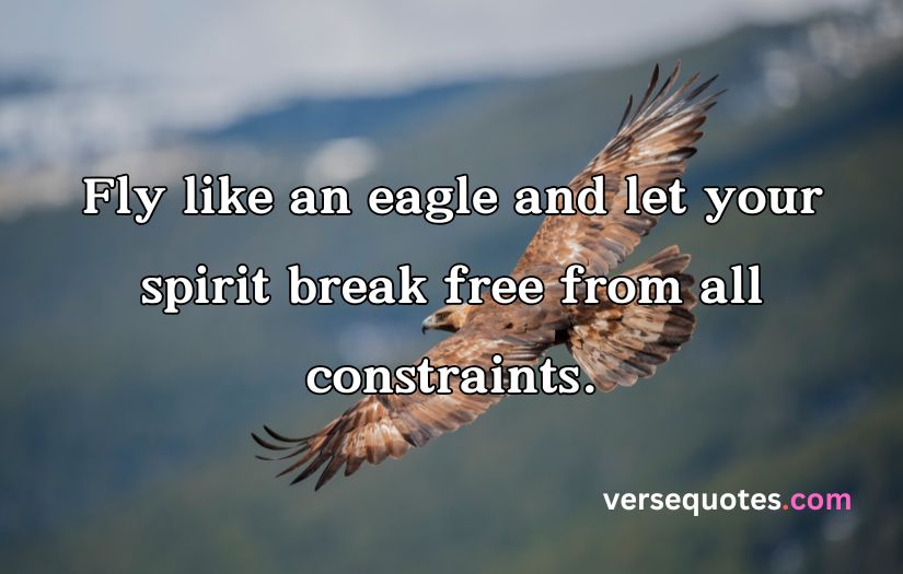 Epic Eagle Quotes to Uplift Your Spirit