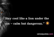 Attitude Powerful Lion Quotes Attitude Powerful Lion Quotes