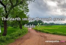 Village Captions for Instagram Village Captions for Instagram