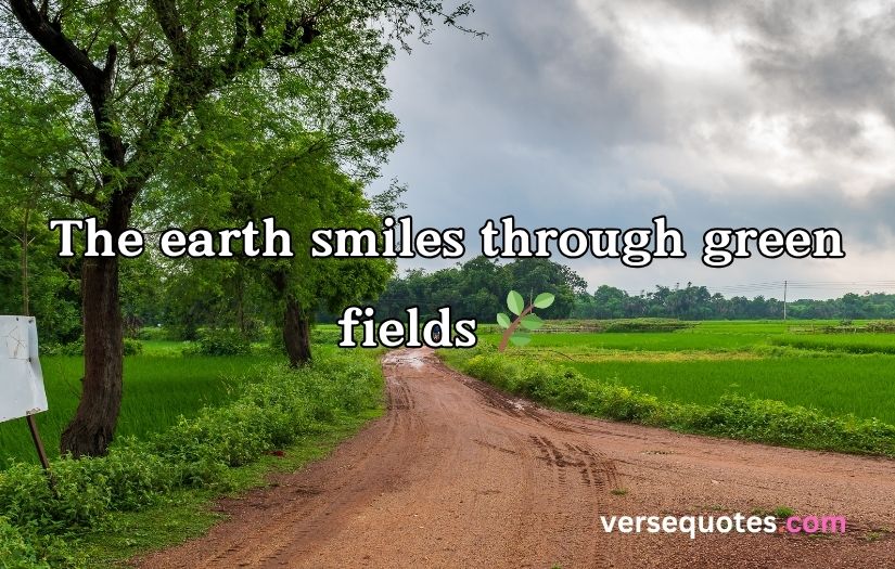 Village Captions for Instagram